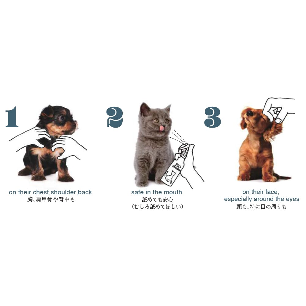 ybgpi`PAXv[@BIO shower FOR PETS SMALL ANIMALS(Xv[{g)