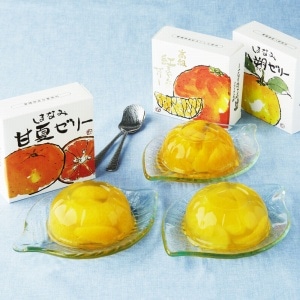愛媛の柑橘ゼリー3種味くらべ 6個