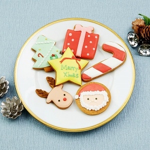 クリスマスアイシングクッキー 6種6枚