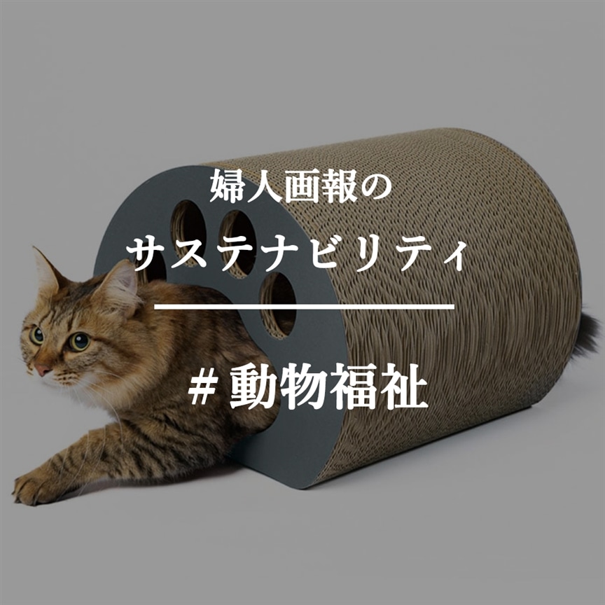 525́uیL̓vBیLƂ̏o琶܂ꂽwnRNxЉ